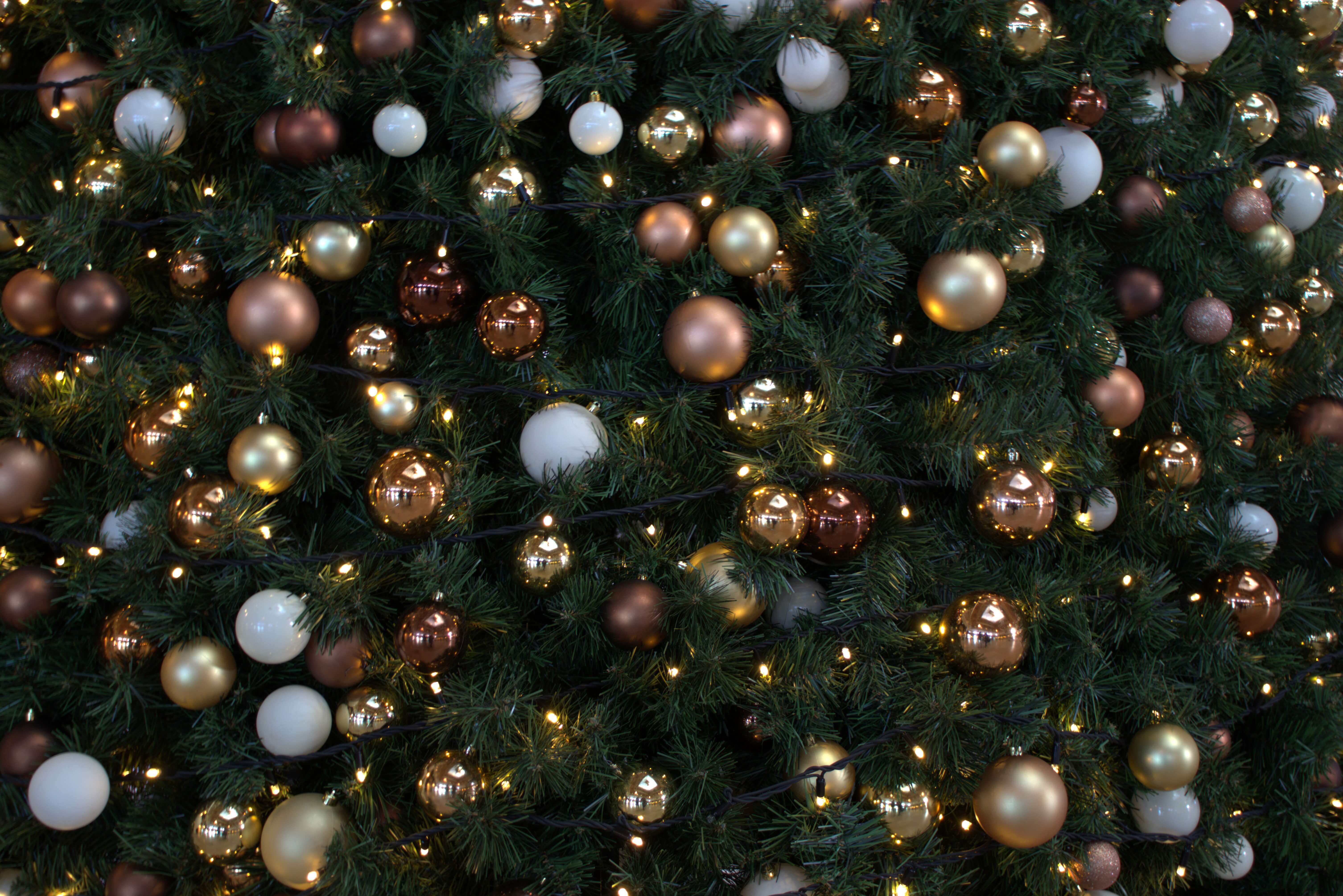 Christmas at dhpayroll